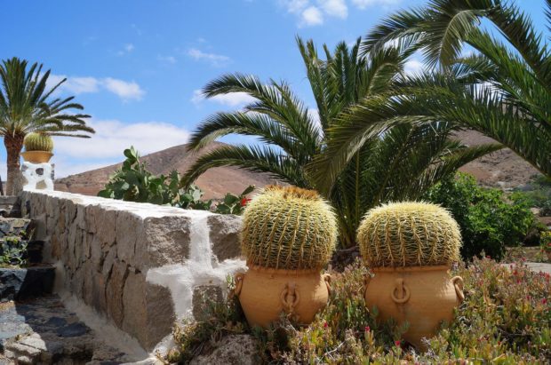 clima fuerteventura
