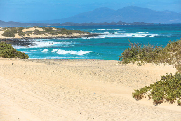 fuerteventura isola